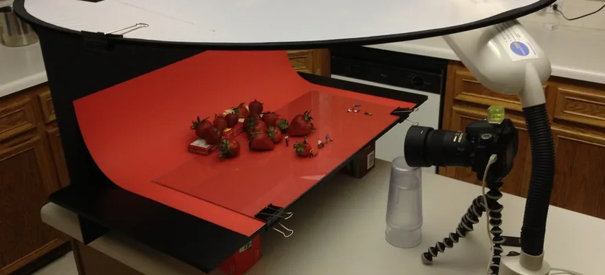 A tabletop copy stand with a diffuser and small objects arranged for photography.